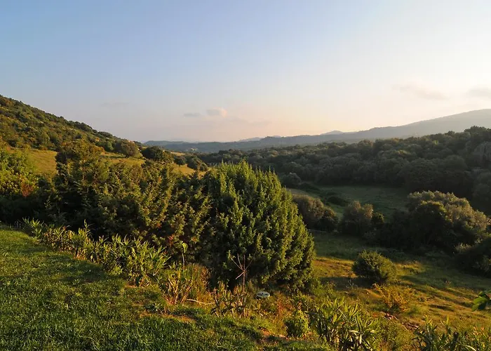 Bed & Breakfast La Murichessa Arzachena