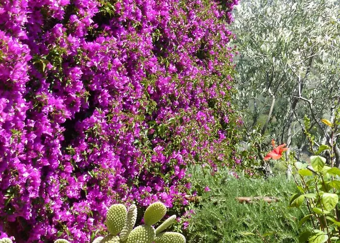 La Murichessa 3* Arzachena