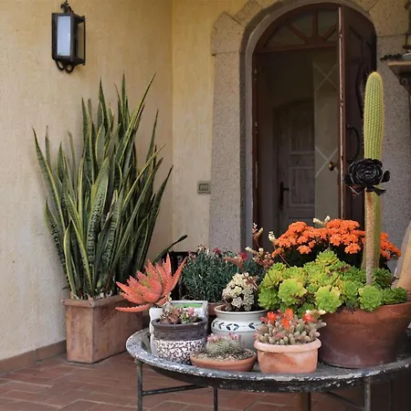 La Murichessa Arzachena