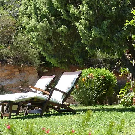 Bed & Breakfast La Murichessa Arzachena