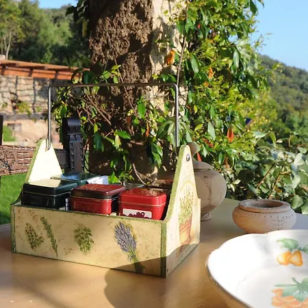 Bed & Breakfast La Murichessa