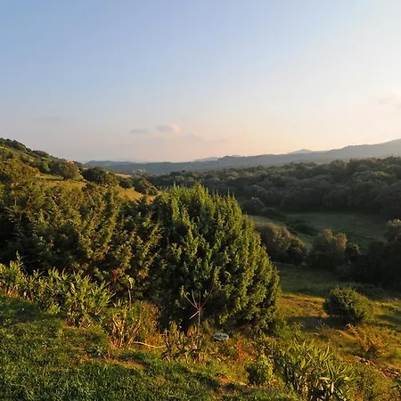 Bed & Breakfast La Murichessa Arzachena