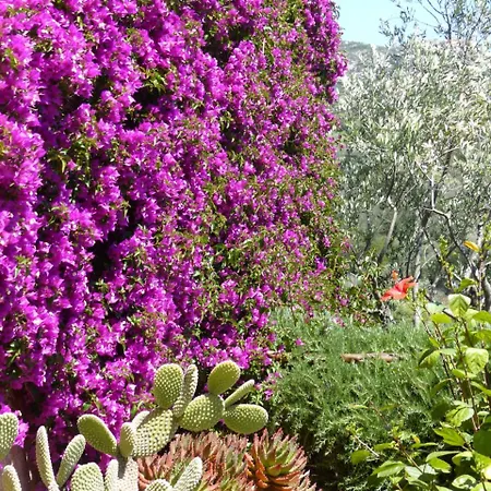 La Murichessa 3* Arzachena