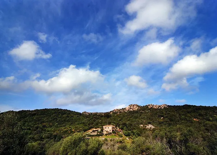 Bed and breakfast La Murichessa Arzachena