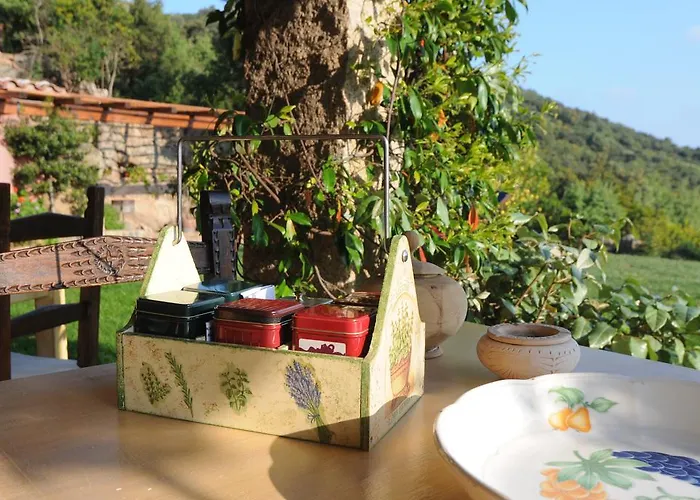 Bed and breakfast La Murichessa